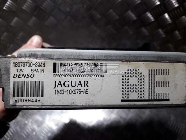 Купити 1X4310K975AE Jaguar 
