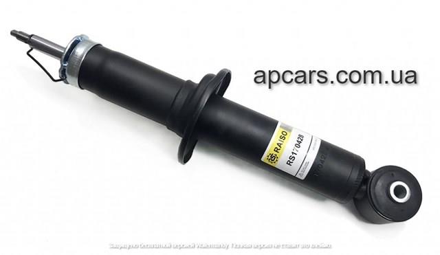 RS170428 Raiso Амортизатори задні