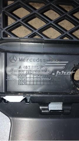 A46388582009999 Mercedes 