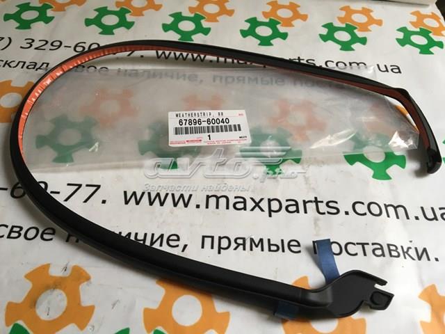 6789660040 Toyota Прокладка дверей задніх, лівих (на двері)