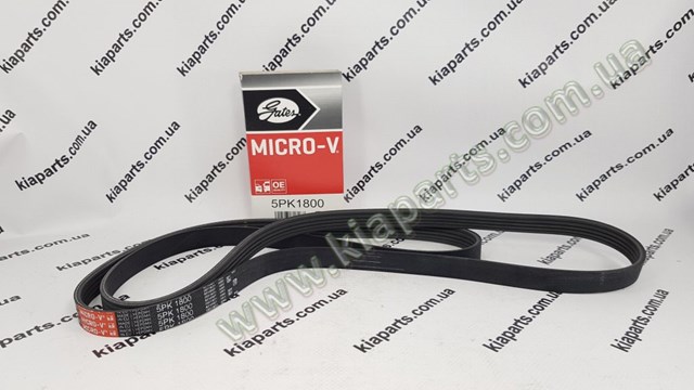 Купити 5577246000 Hyundai/Kia Втулка стабілізатора заднього, зовнішня