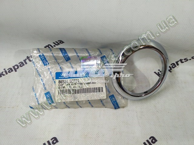  Hyundai/Kia 865543C201