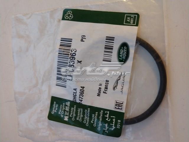 Ущільнююче кільце патрубка EGR Land Rover LR083963 ціна, від 10.02 USD