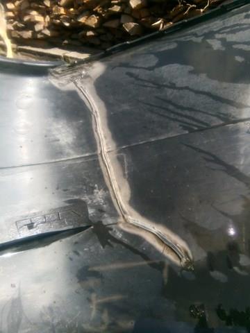  Renault (RVI) 8200210902