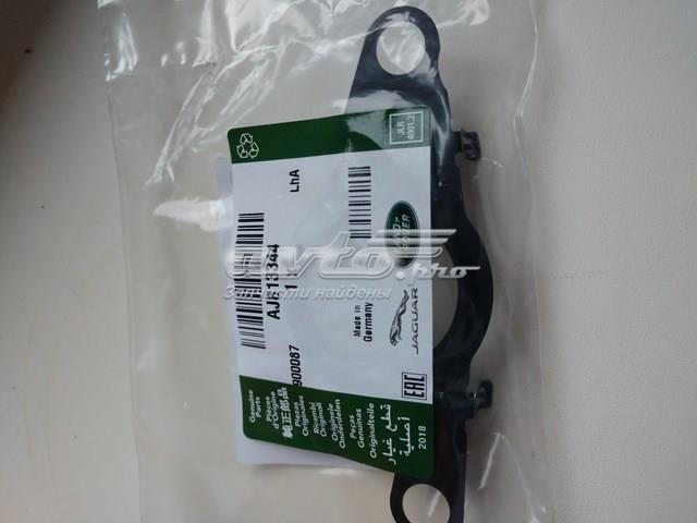 AJ813344 Jaguar 