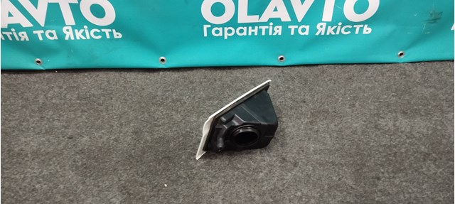 30971011 BSG Дверцята бензобака
