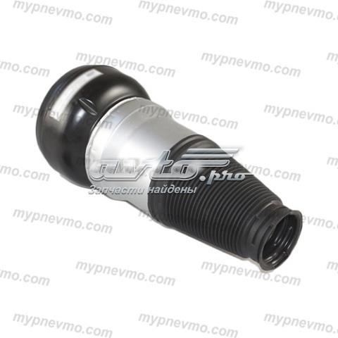 Купити A2223202313 Mercedes Амортизатора передній лівий