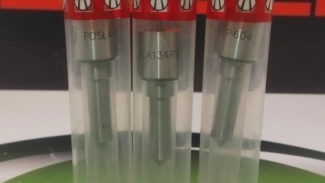 PDSLA134P604 Wuzetem Розпилювач дизельної форсунки