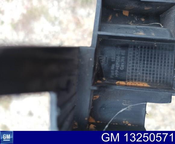 Купити 13250571 General Motors 