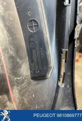 9810869777 Peugeot/Citroen 