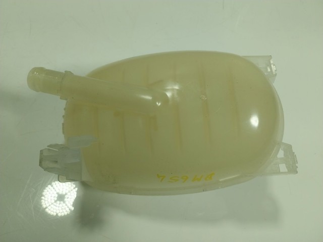 Купити 217102572R Renault (RVI) Водяний бачок системи охолодження