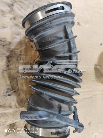 GV619R504CB Ford 