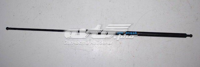 амортизатор кришки багажника/ двері 3/5-ї задньої ZS02072 Амортизатор двері п'ятої JAPANPARTS ZS02072