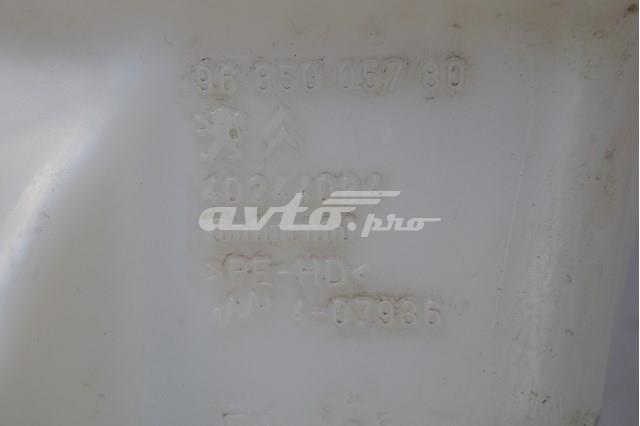 9685005780 Peugeot/Citroen 