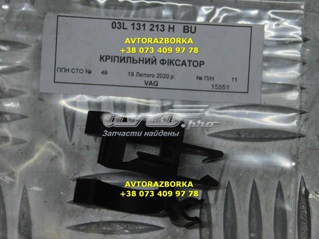 03L131213H VAG 