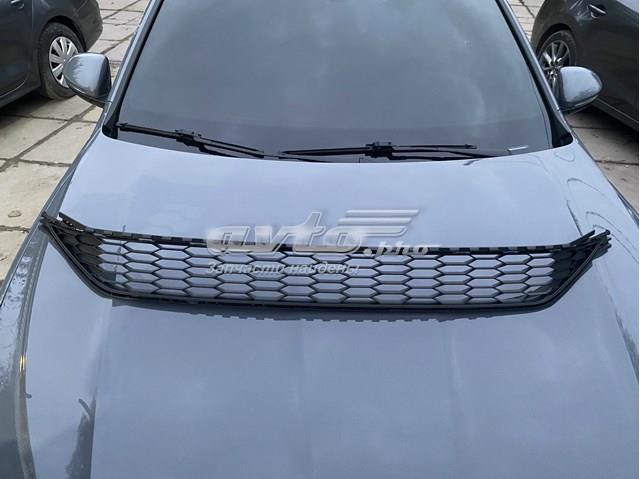 Облицювання радіатора VAG 17A853677D9B9 ціна, від 116.52 USD