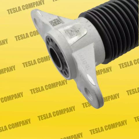 118846300C Tesla Амортизатори задні
