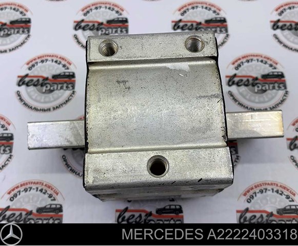Купити A2222403318 Mercedes 