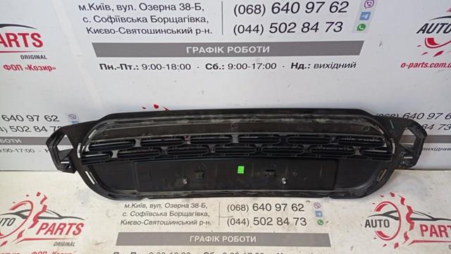 Решітка переднього бампера, центральна 98335045XT Peugeot/Citroen