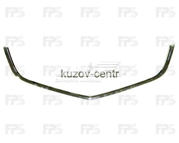Молдинг решітки радіатора, нижній FPS FP3007991 ціна, від 54.44 USD