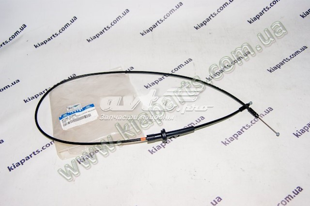 81190F6100 Hyundai/Kia 