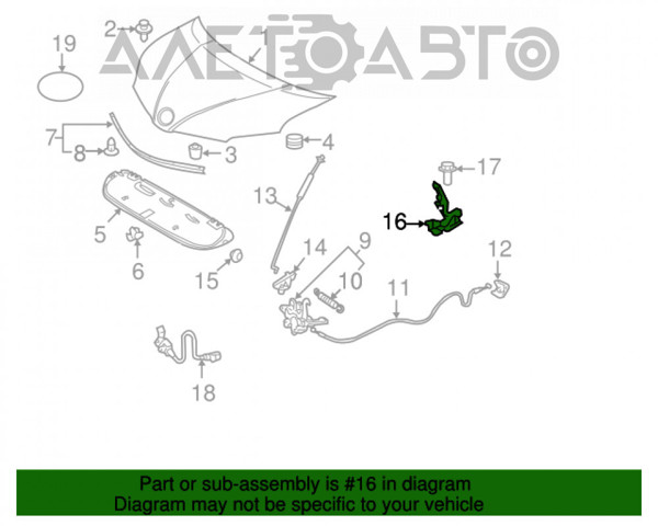 Петля капота, права PTY21175AR Signeda