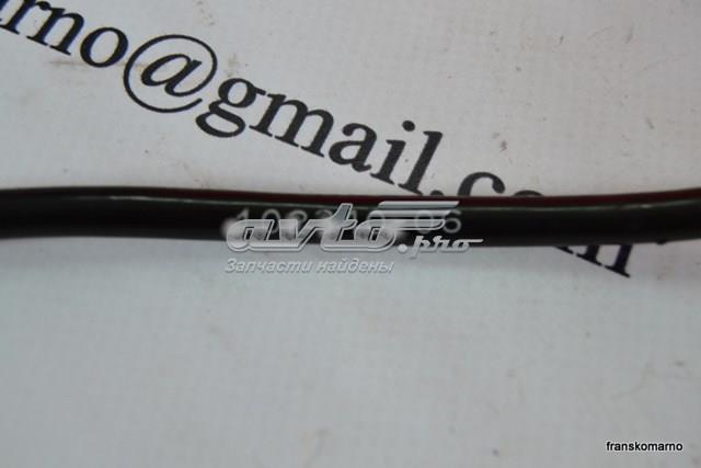 10234006 Peugeot/Citroen 