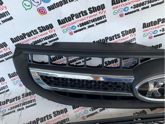 Облицювання радіатора Hyundai/Kia 863501F520 ціна, від 34.09 USD