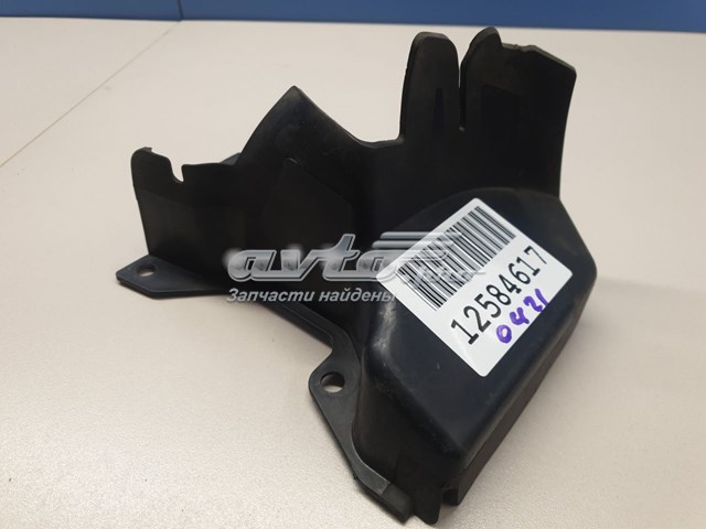 Повітроводи системи охолодження двигуна Land Rover LR092684 ціна, від 87.06 USD
