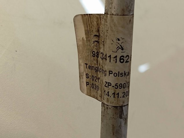  Peugeot/Citroen 9834116280