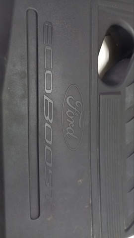  F1FG6A949AB Ford