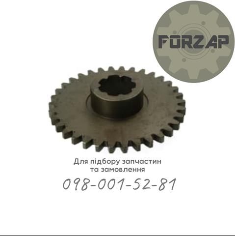 JSE0055800 Jost 