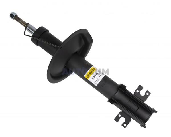 Амортизатори передні Raiso RS310767