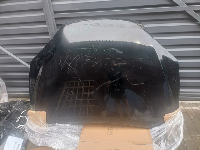 PTS20002A Signeda Капот