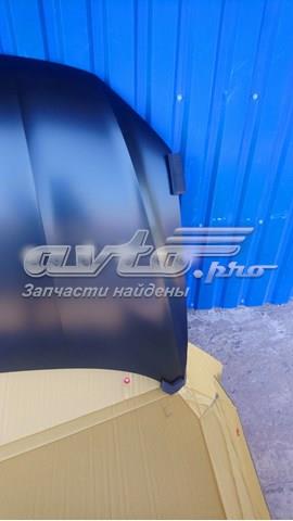 Купити GD99F73 Gordon Капот