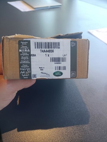 T4A44856 Jaguar 