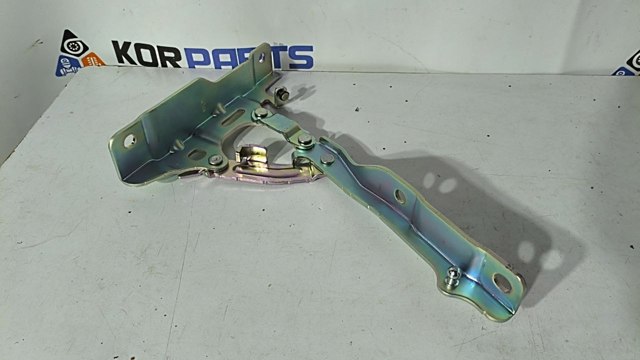 Петля капота, ліва Hyundai/Kia 66910R6000 ціна, від 122.31 USD