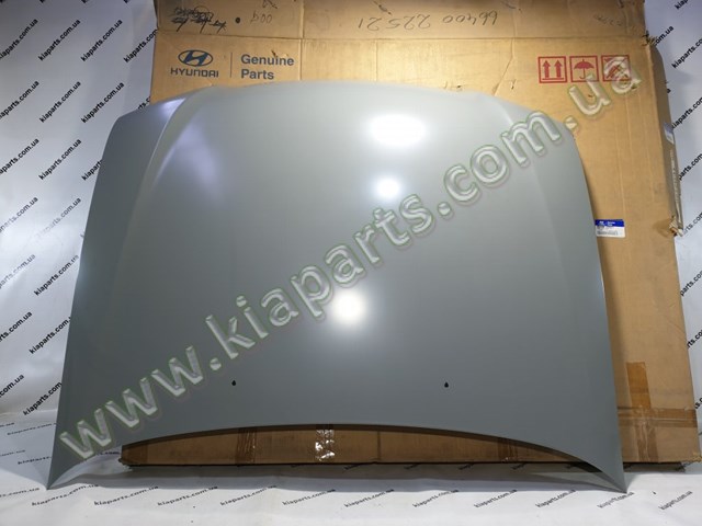 Капот Hyundai/Kia 664004F011