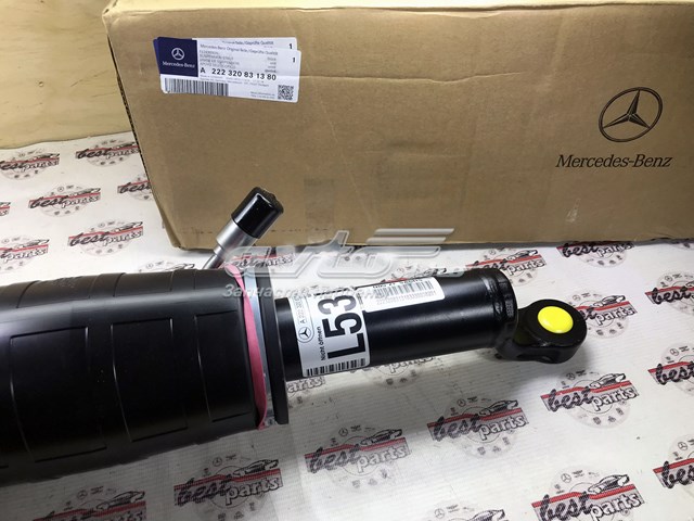 A222320831380 Mercedes 
