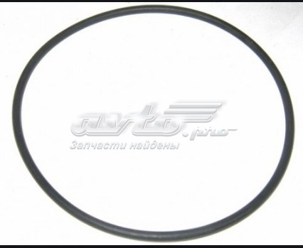 Купити 0256779040 BPW 