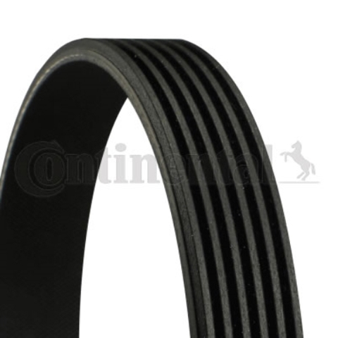 Купити 6PK2433 Continental/Siemens Ремінь генератора