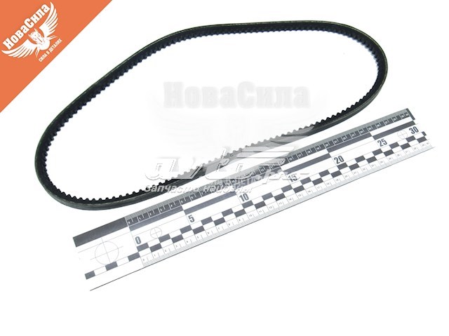 10A0888C Dayco Поліклиновий ремінь