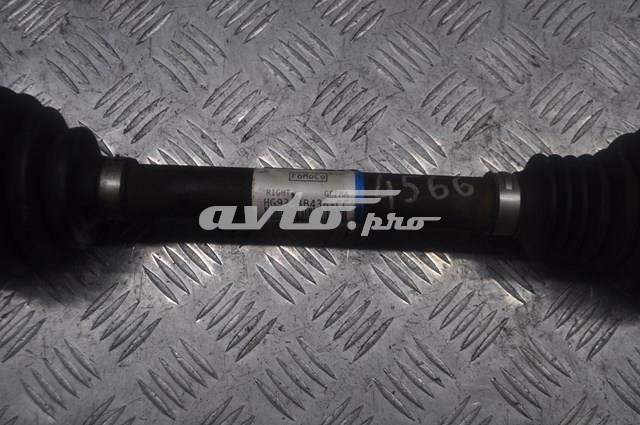 Купити HG933B436CC Ford 