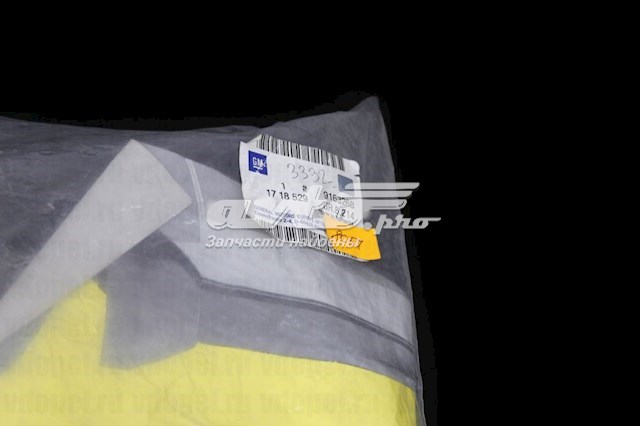 Комплект задніх бризковиків General Motors 9163268