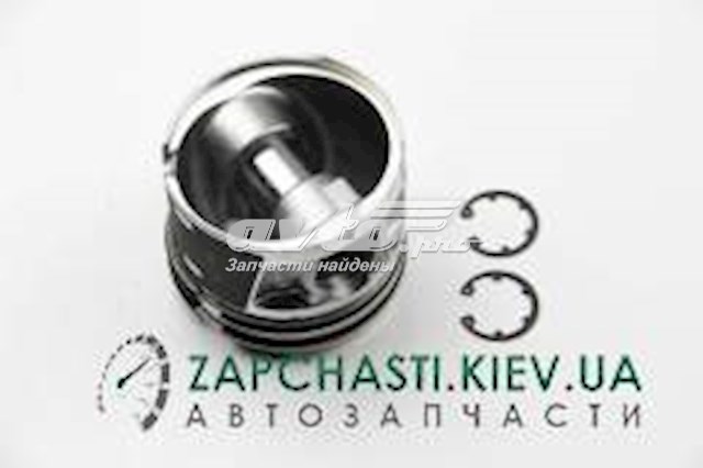 8772620040 Nural Поршень в зборі