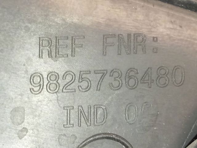 9825736480 Peugeot/Citroen 