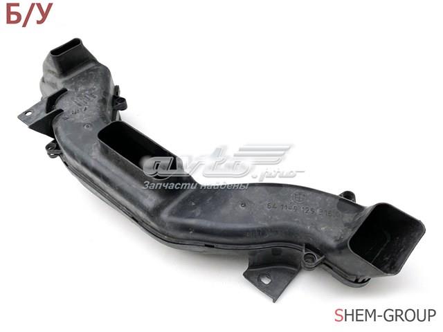  BMW 64119129316