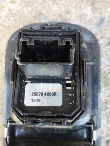 Купити 255704283R Renault (RVI) 
