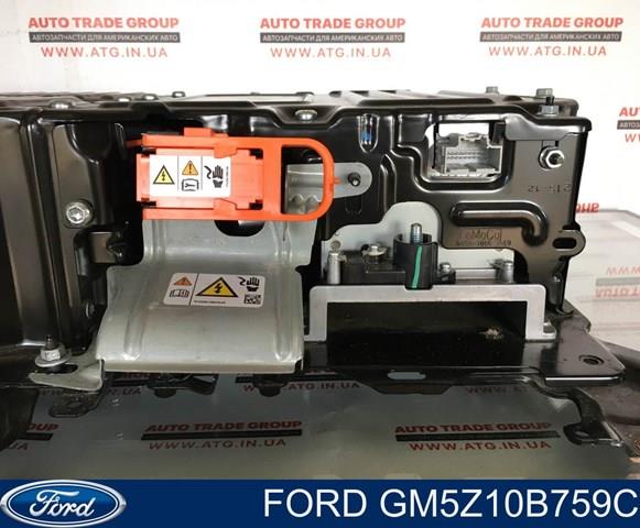 GM5Z10B759C Ford 