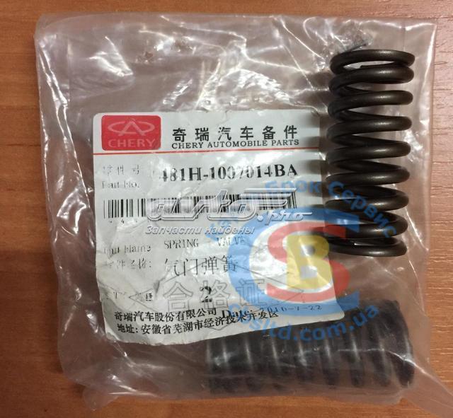  481H1007014BA Chery